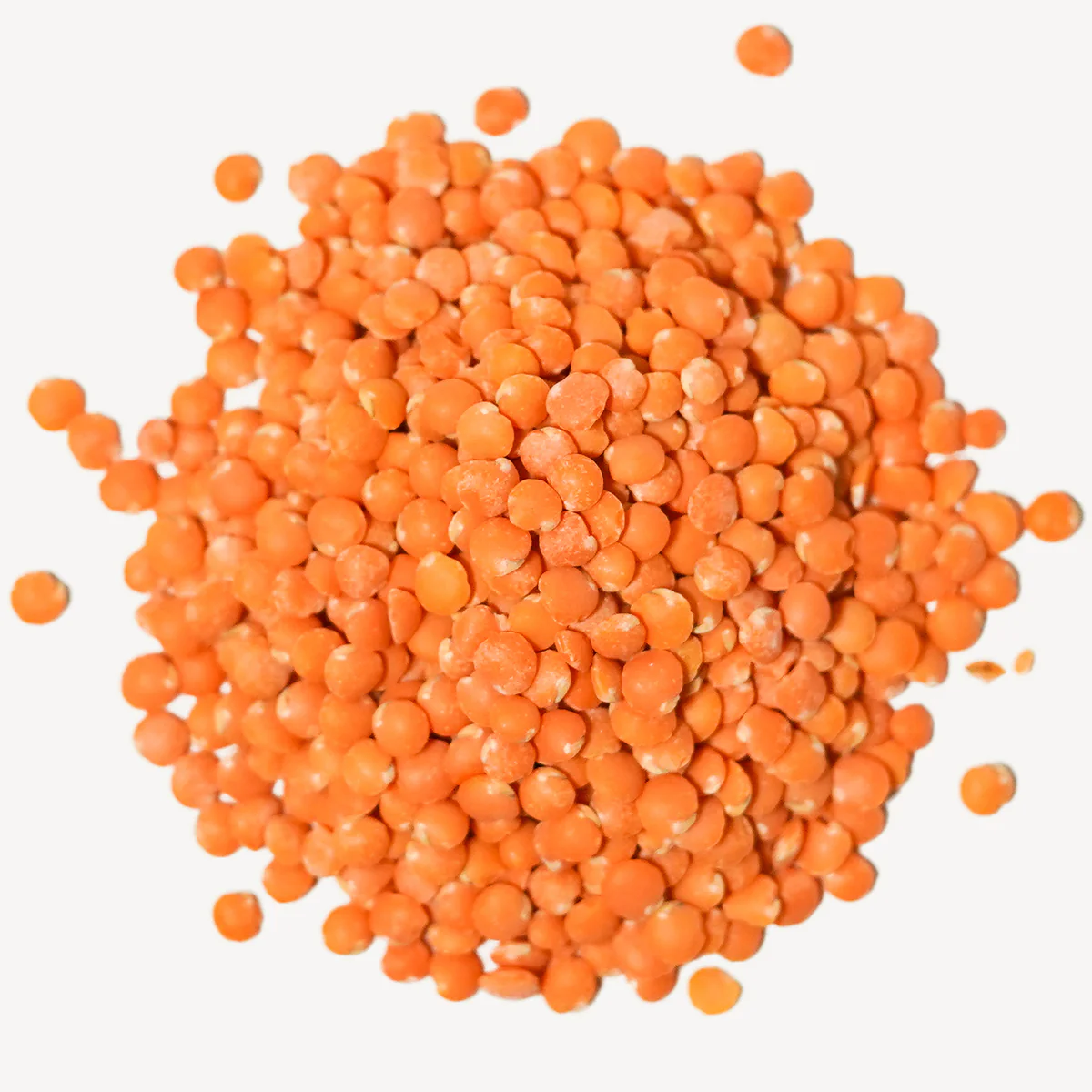 Premium Produce Organic Fresh Red Lentils - Small (250g)