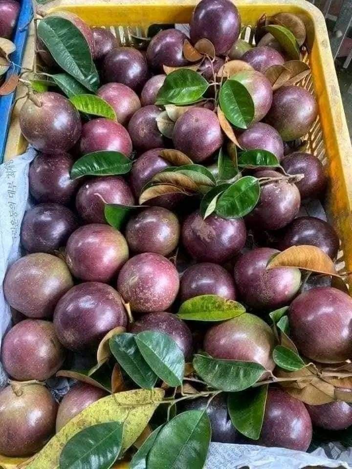 Farm Fresh Grade B Farm Fresh Fresh Passion Fruits - Extra Large (2kg)