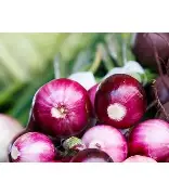 FreshFarm Organic Premium Fresh Red Onions - Medium (1kg) - Box