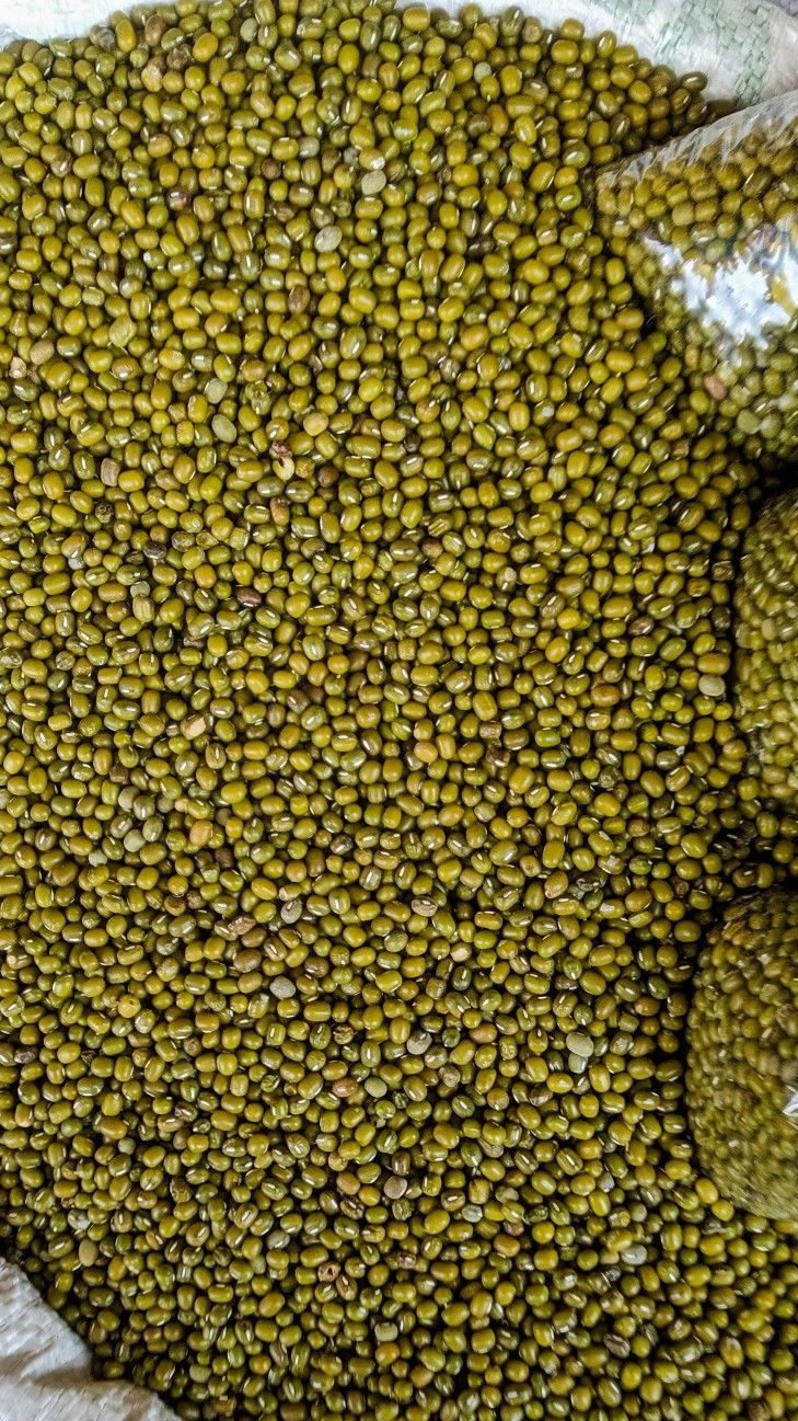 Organic Valley Organic Premium Organic Green Grams - Small (250g)