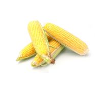 Quality Grains Grade A Organic White Maize - Large (5kg) - Sack