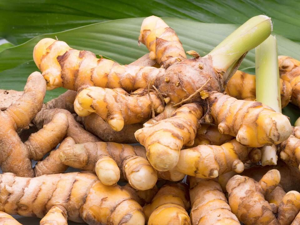 Harvest Direct Organic Premium Fresh Fresh Turmeric - Large (1kg)