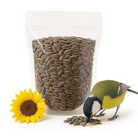 Farm Fresh Organic Fresh Raw Sunflower Seeds - Small (250g)