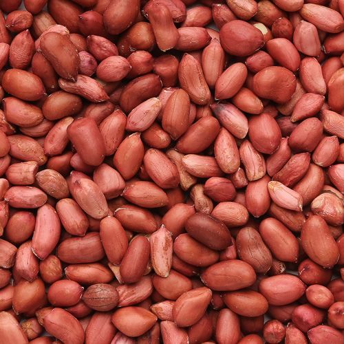Farm Fresh Grade A Farm Fresh Raw Groundnuts - Medium (500g)