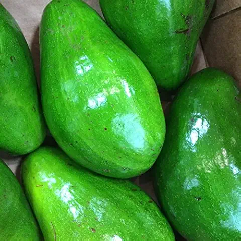 Tropical Fresh Grade A Ready to Eat Avocado - Small (500g) - Loose