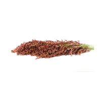 Organic Premium Organic Whole Sorghum - Medium (500g)