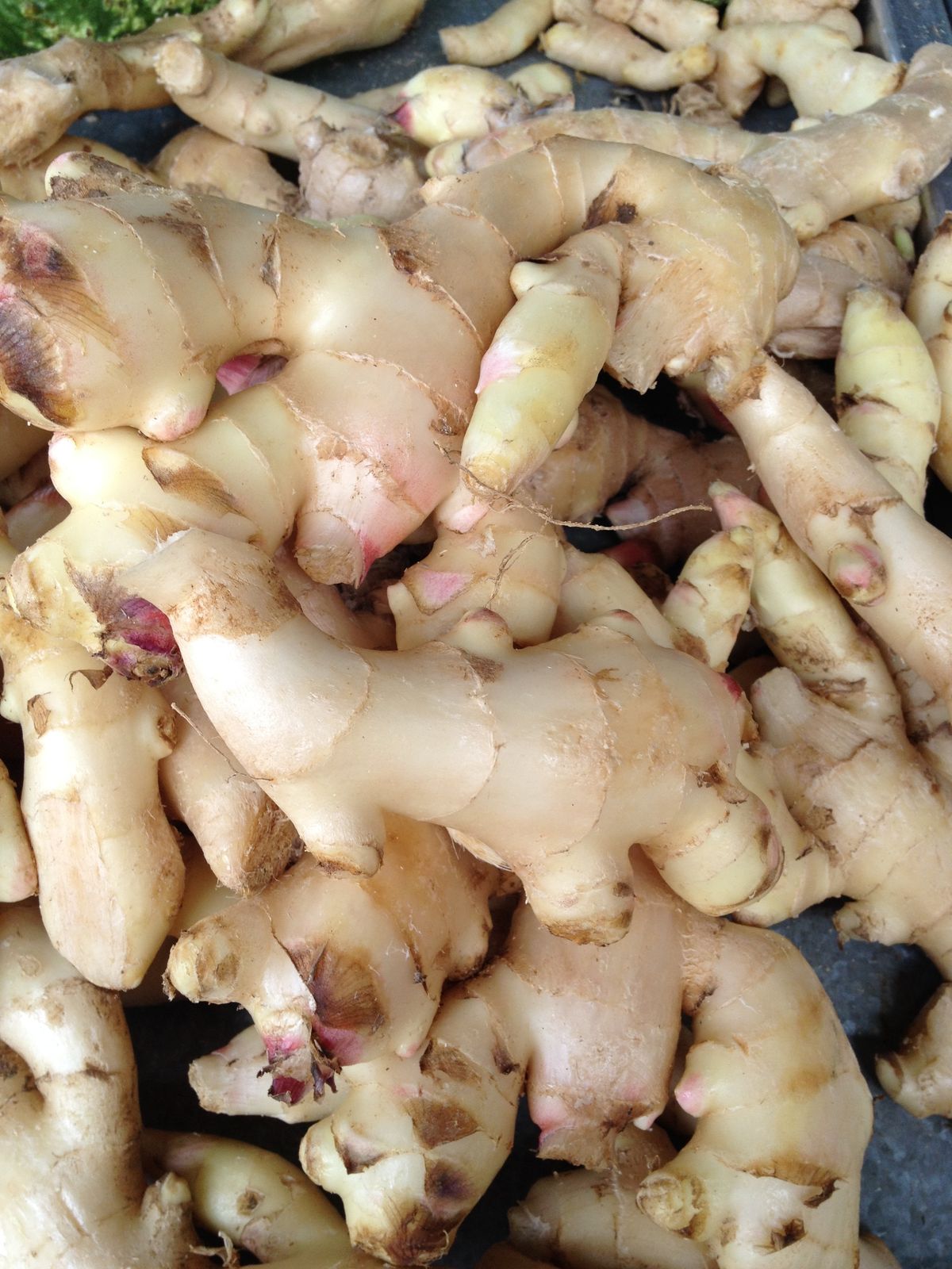 Harvest Direct Organic Farm Fresh Fresh Ginger - Large (1kg)