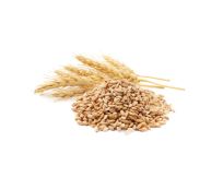 Farm Direct Grade A Whole Grain Hard Red Wheat - Large (5kg) - Bulk