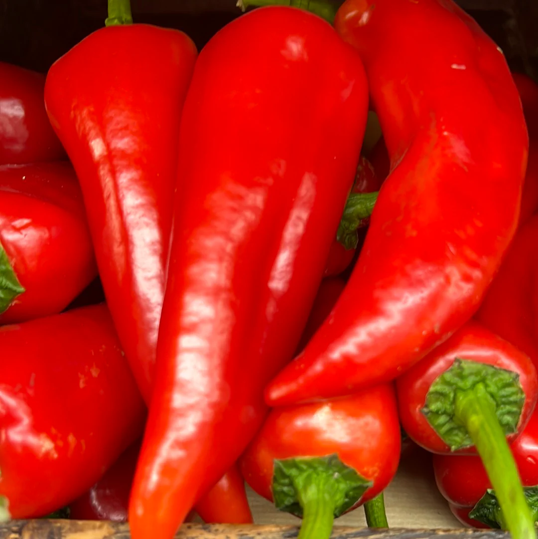 Tropical Heat Commercial Grade Sun Dried Bird's Eye Chillies - Large (1kg) - Bag