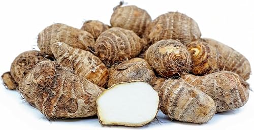 Premium Produce Grade A Farm Fresh Fresh Yams - Small (250g)