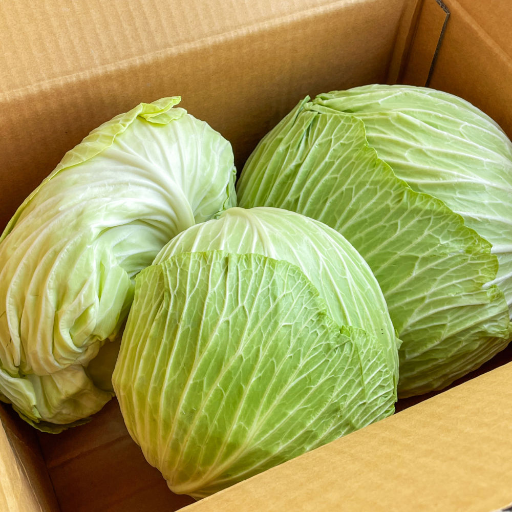 FarmMaster Organic Premium Farm Fresh Green Cabbage - Extra Large (2kg)