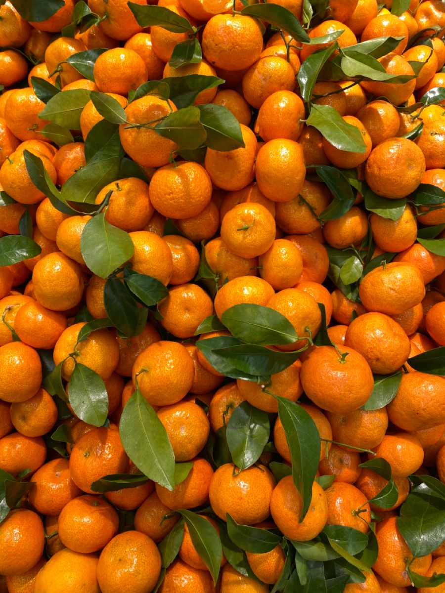 Organic Valley Grade A Farm Fresh Fresh Oranges - Large (1kg)