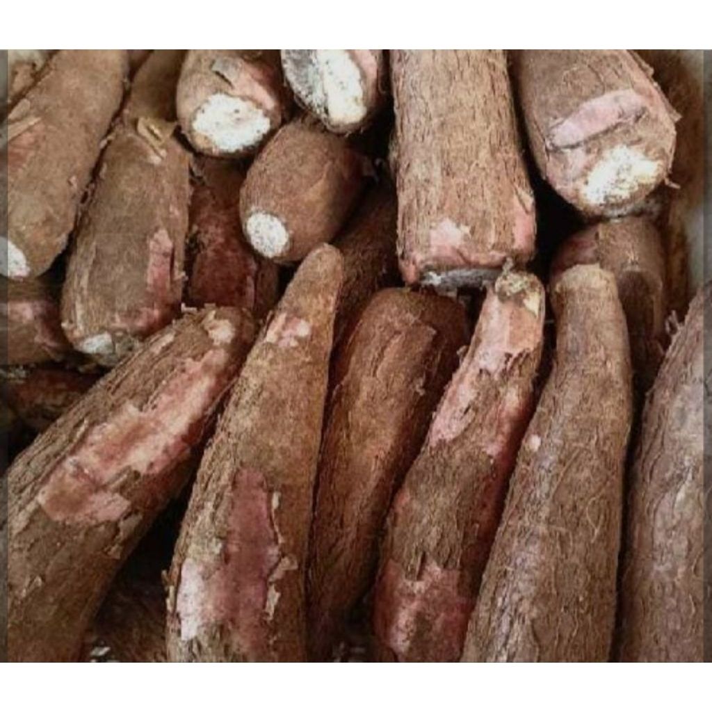 Farm Fresh Grade A Premium Fresh Fresh Cassava - Large (1kg)