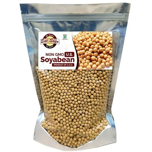 Premium Produce Grade B Organic Raw Soybeans - Medium (500g)