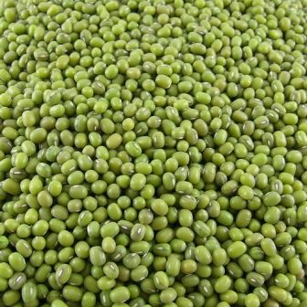 Premium Produce Organic Premium Farm Fresh Green Grams - Extra Large (2kg)