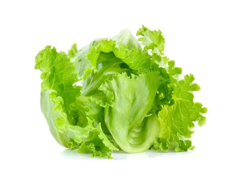 FarmMaster Grade B Organic Iceberg Lettuce - Small (250g)