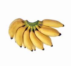 Fresh small Bananas