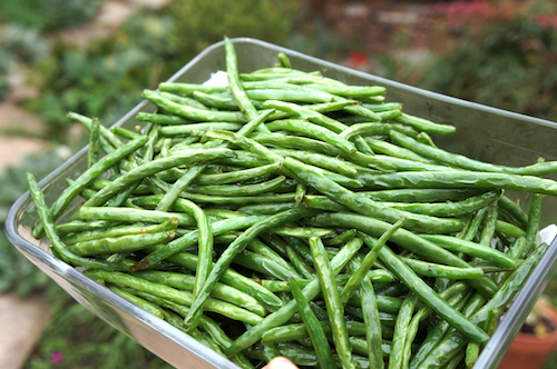 FarmMaster Grade A Organic Fresh Green Beans - Large (1kg)