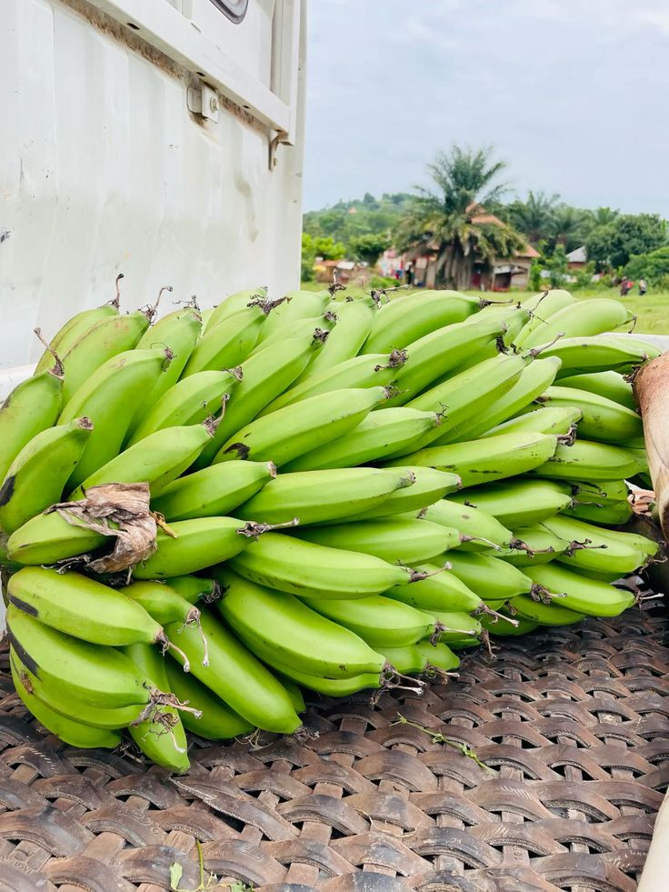 FarmMaster Grade B Organic Fresh Bananas - Extra Large (2kg)