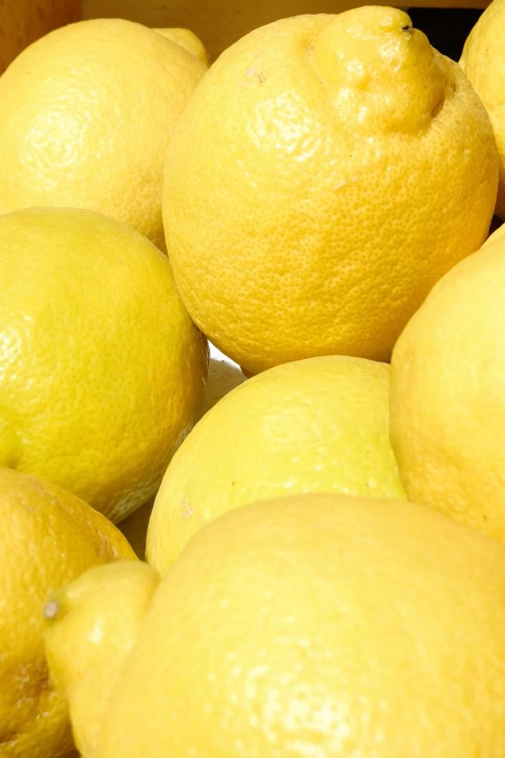 FarmMaster Organic Premium Dried Fresh Lemons - Medium (500g)