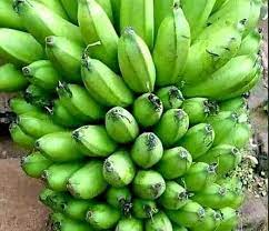 Harvest Direct Organic Farm Fresh Fresh Bananas - Medium (500g)