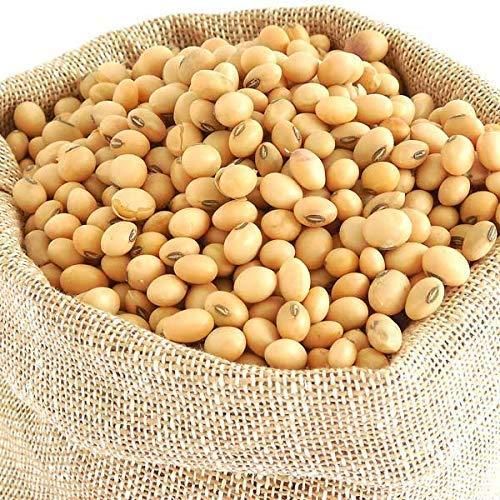 FarmMaster Organic Premium Raw Soybeans - Medium (500g)
