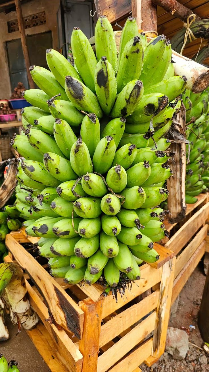 Farm Fresh Grade B Dried Fresh Bananas - Extra Large (2kg)