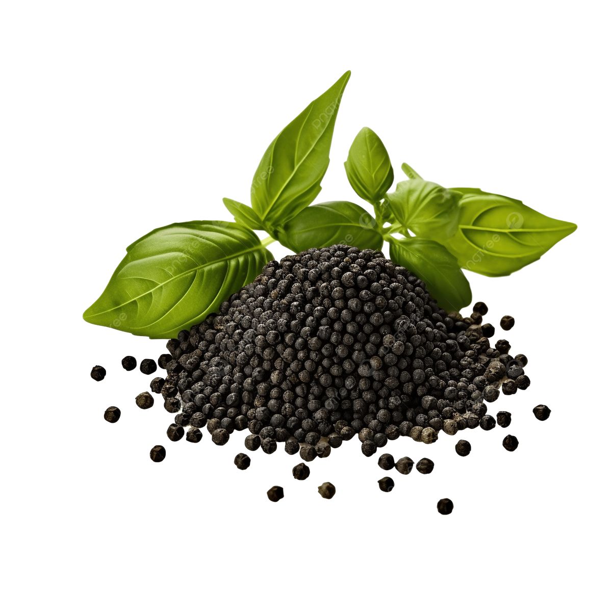 Premium Produce Organic Organic Black Peppercorns - Large (1kg)