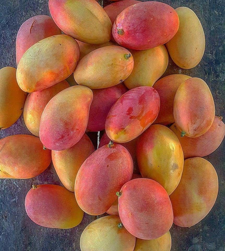 Premium Produce Organic Farm Fresh Fresh Mangoes - Small (250g)