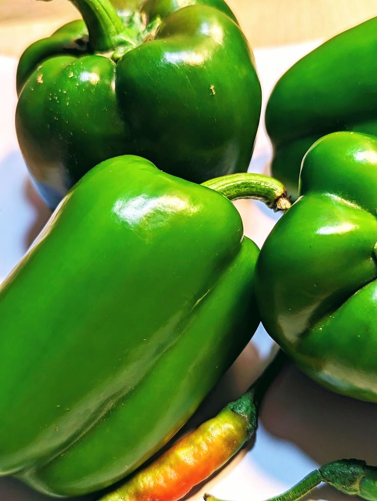 Harvest Direct Grade A Farm Fresh Green Peppers - Small (250g)