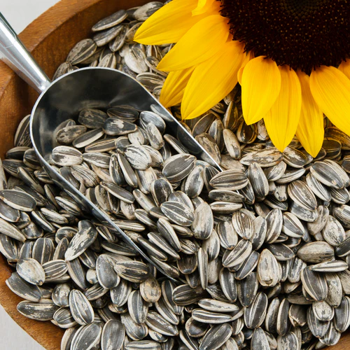 Premium Seeds Grade A Farm Fresh Raw Sunflower Seeds - Small (250g)