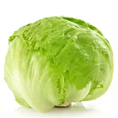 Premium Produce Grade B Dried Iceberg Lettuce - Small (250g)