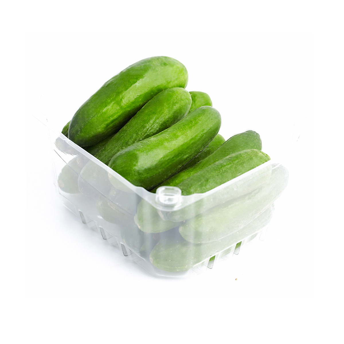 Farm Fresh Grade B Farm Fresh Fresh Cucumber - Large (1kg)