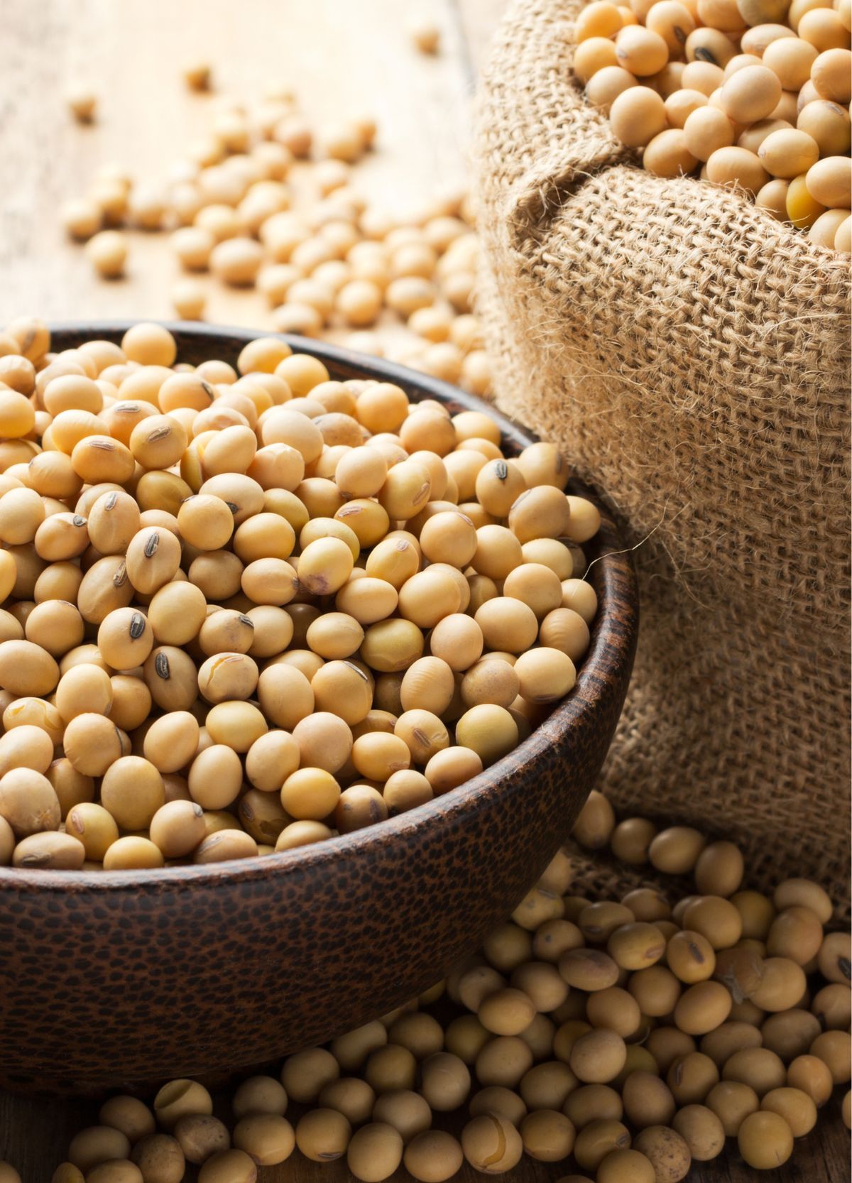 Premium Produce Grade A Premium Premium Raw Soybeans - Large (1kg)