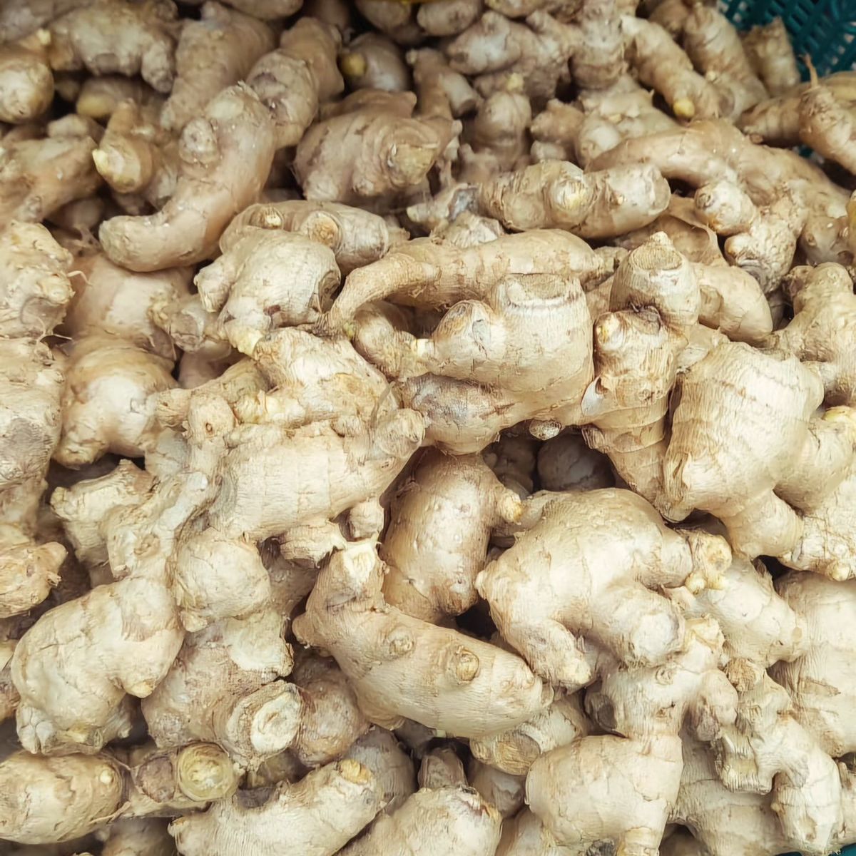 FarmMaster Organic Premium Fresh Fresh Ginger - Small (250g)