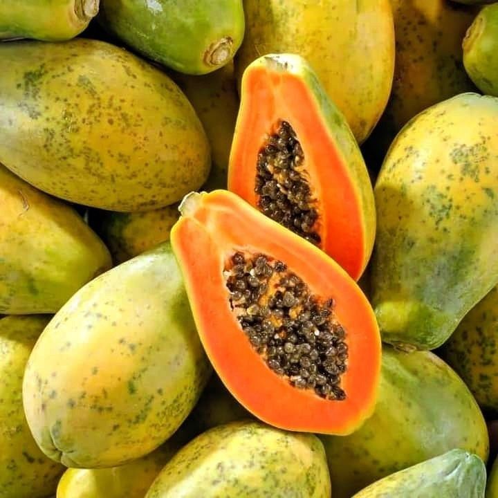 Papayas - Dried 3