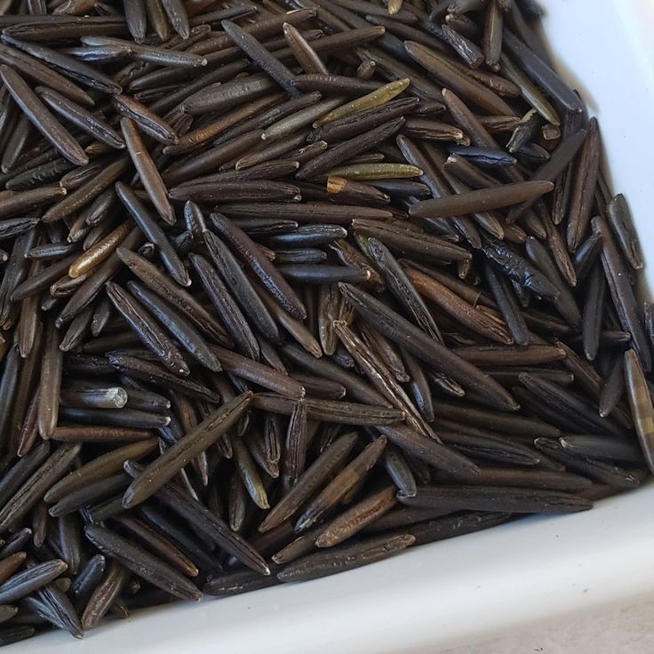 Wild Rice - Dried 3