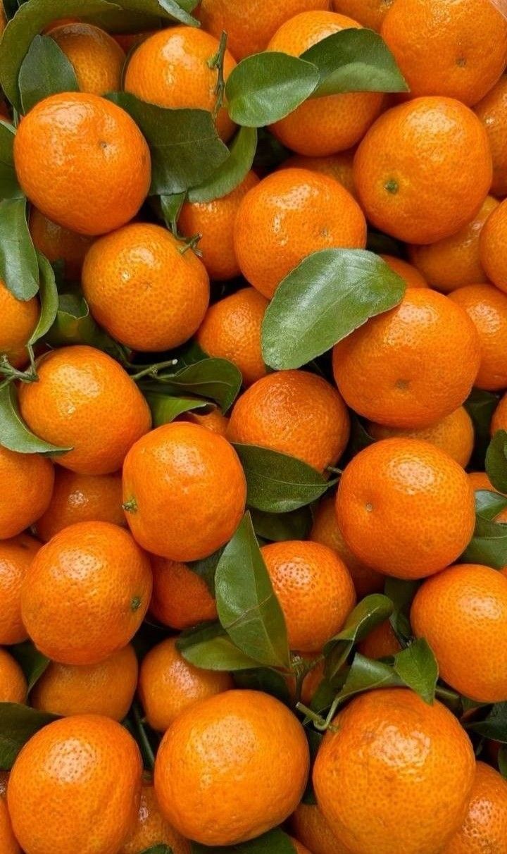 Oranges - Dried 3