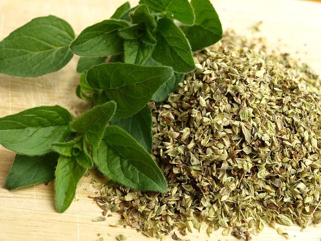 Oregano Choice
