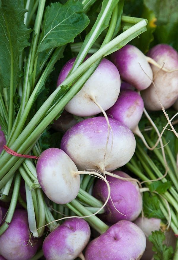 Turnips - Dried 3
