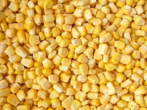 Frozen Corn Species