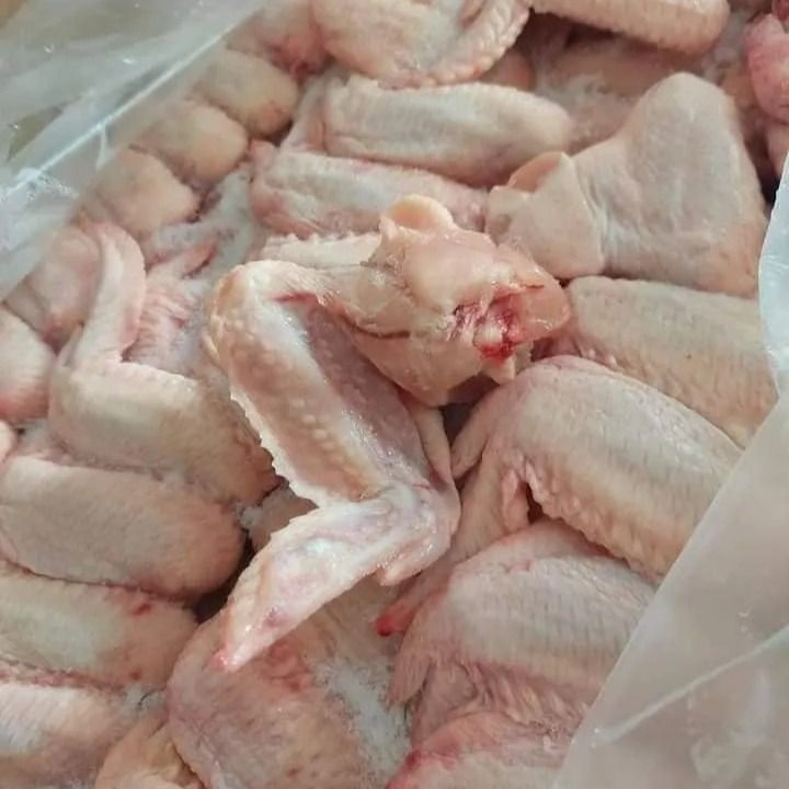 Frozen Chickens Species