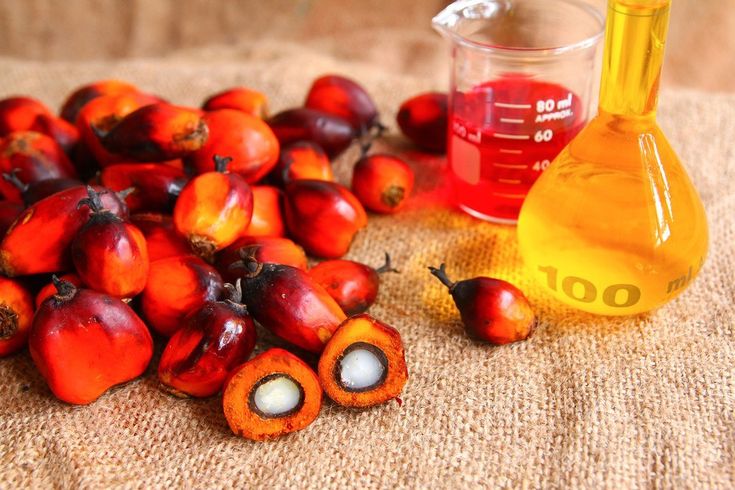 Premium Palm Oil